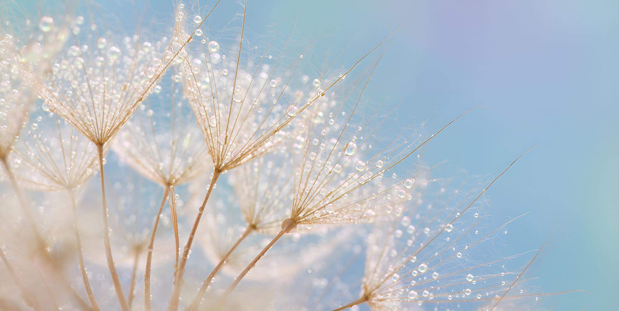 centrum transformacji małgorzata mrózek tło